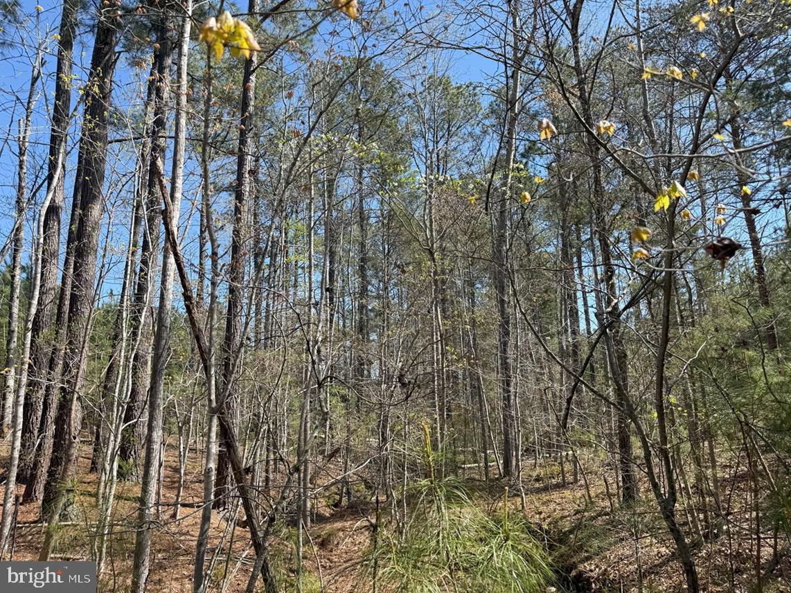 Bluebird Lane Bluebird Lane Property Photo 14