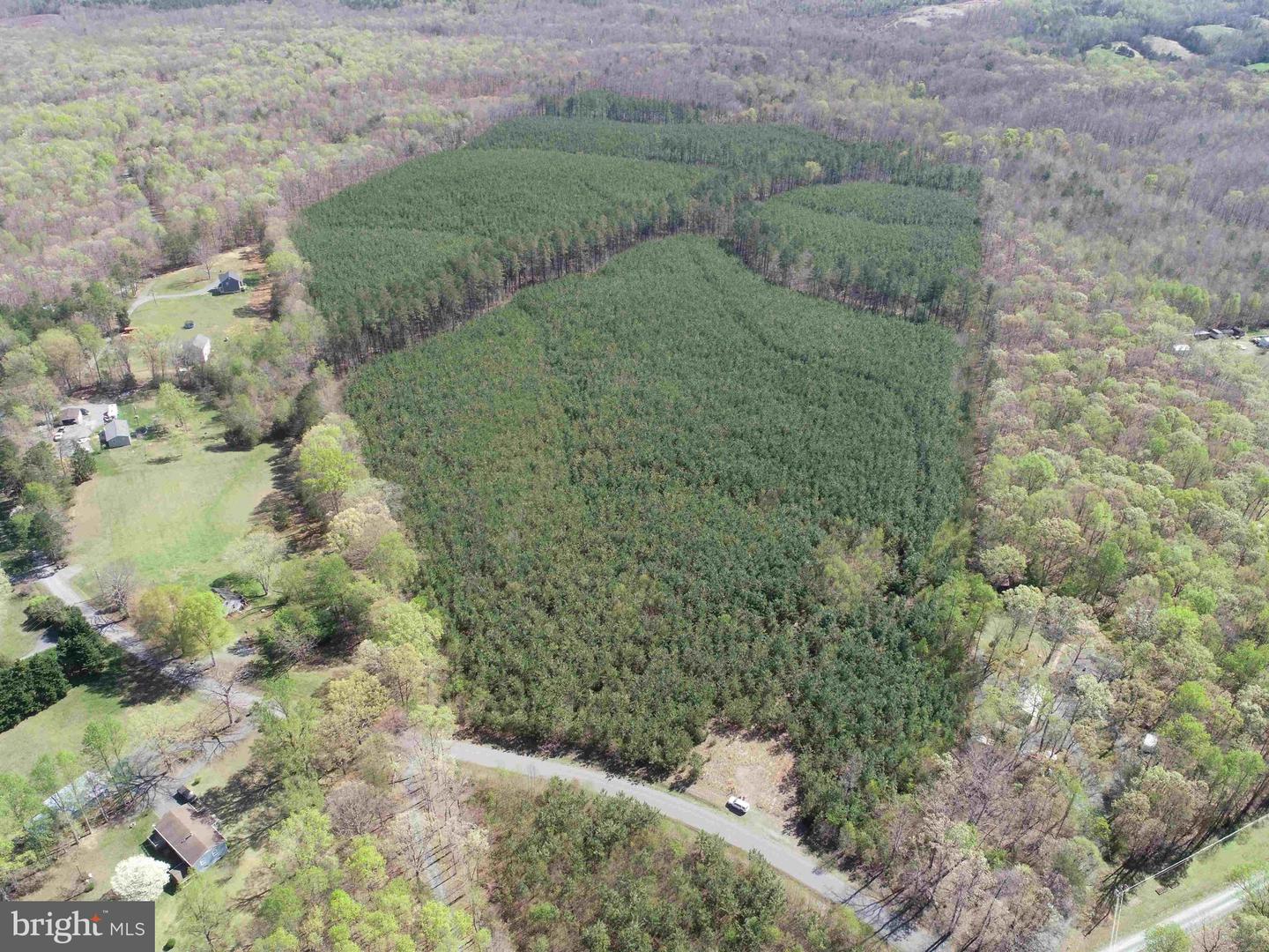 Bluebird Lane Bluebird Lane Property Photo 16