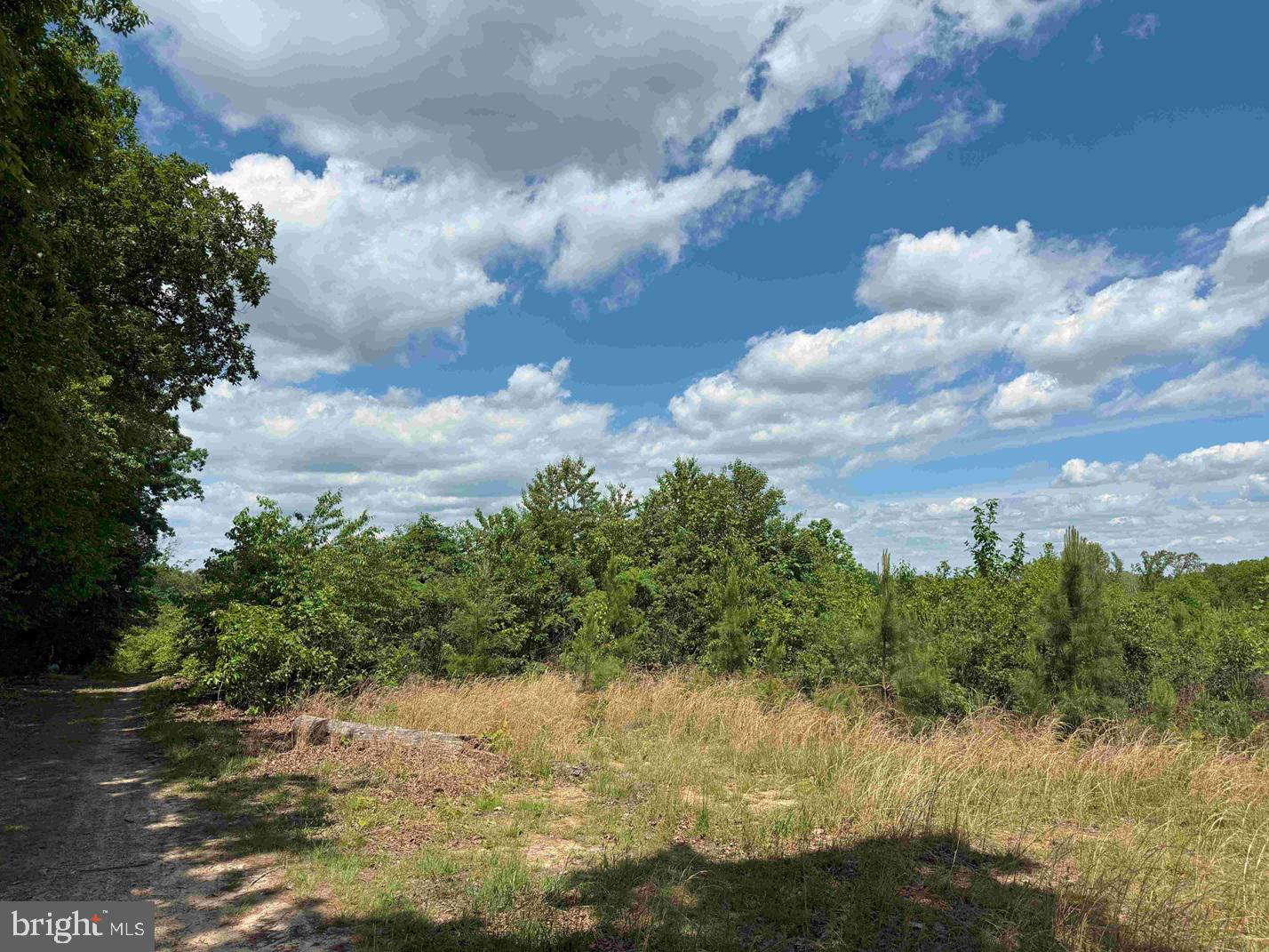 Shilo Church Road (state Rt. 647) Property Photo 5