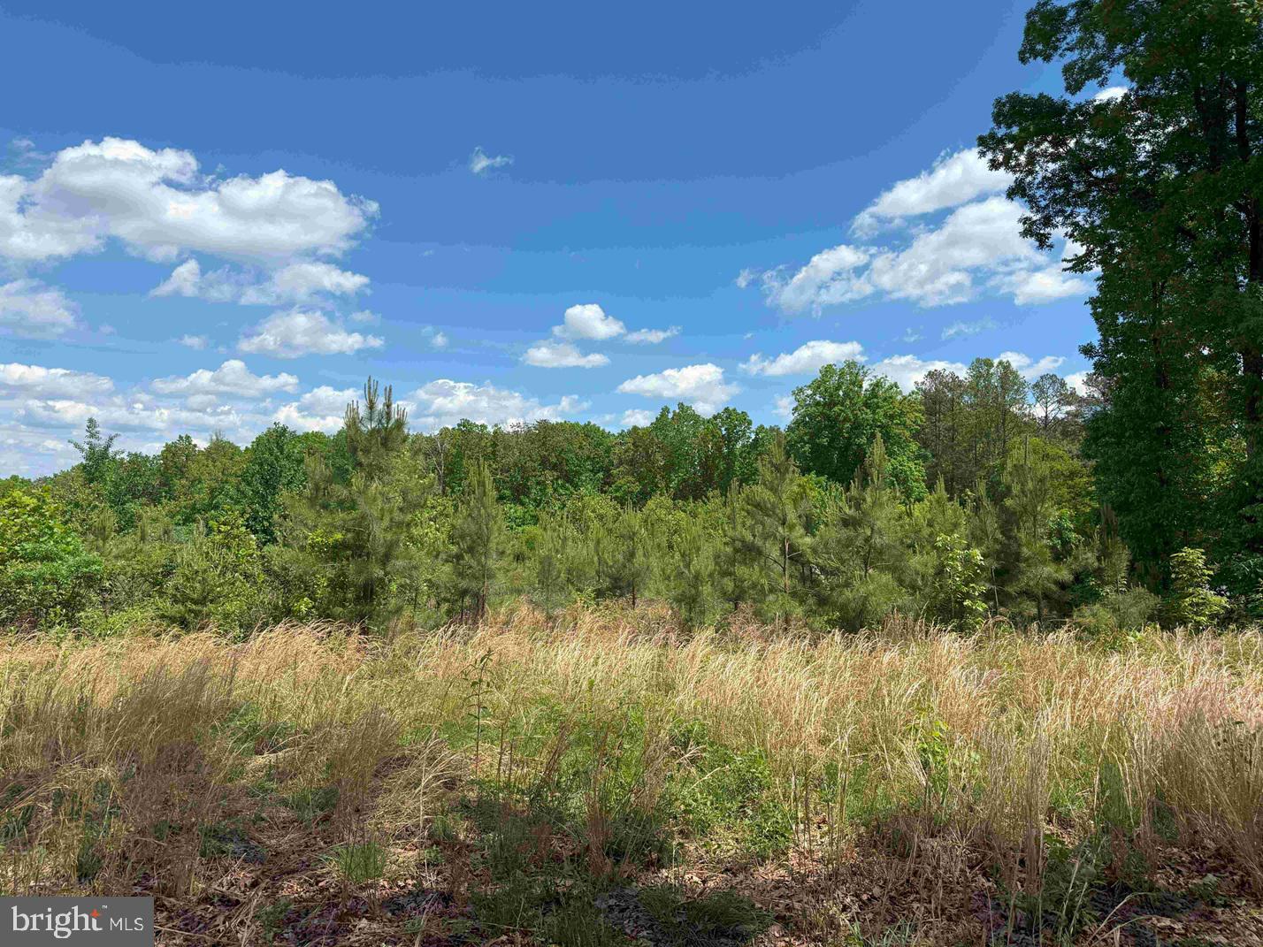 Shilo Church Road (state Rt. 647) Property Photo 6