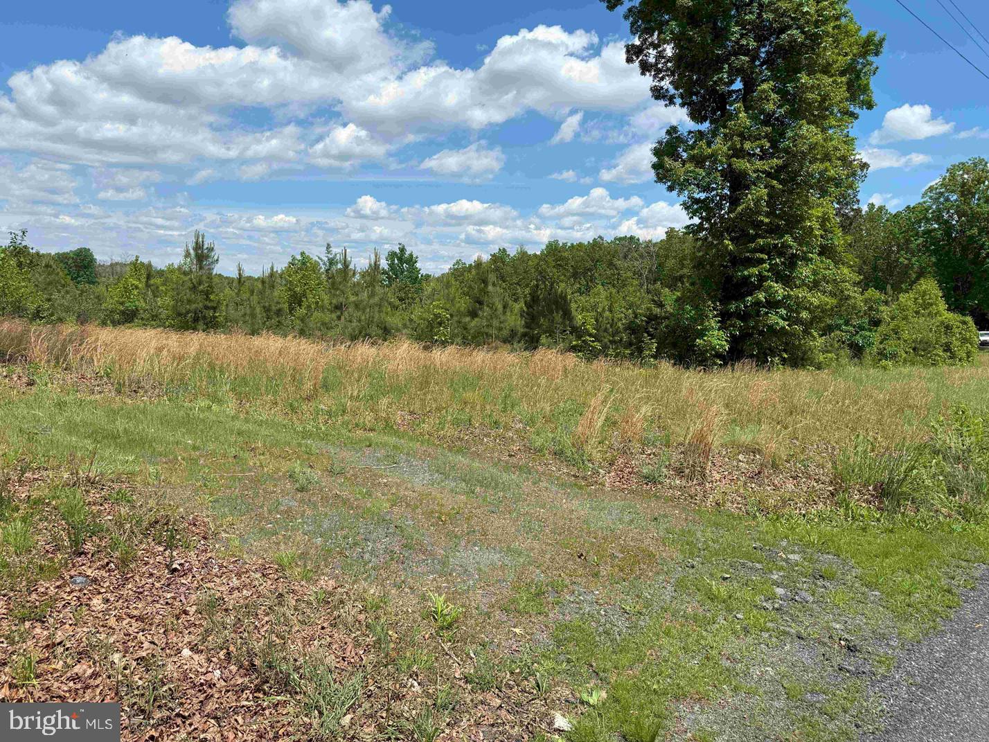 Shilo Church Road (state Rt. 647) Property Photo 7