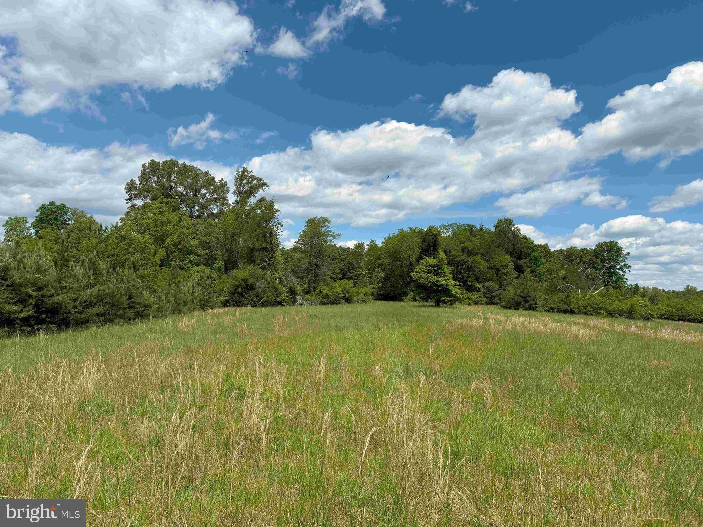 Shilo Church Road (state Rt. 647) Property Photo 8