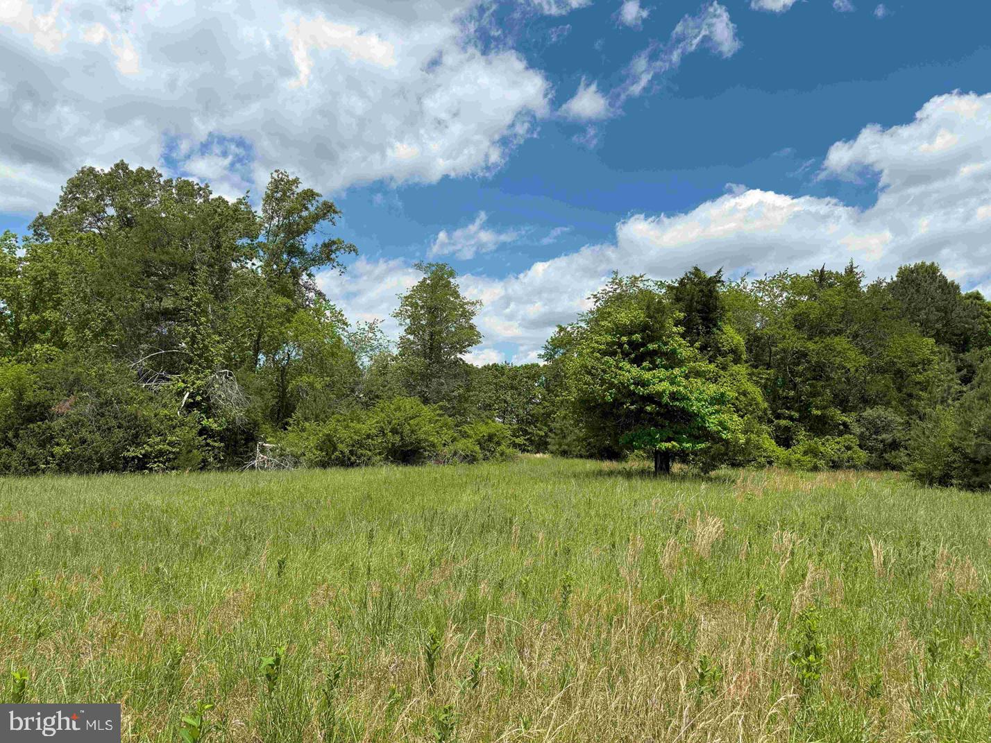 Shilo Church Road (state Rt. 647) Property Photo 9
