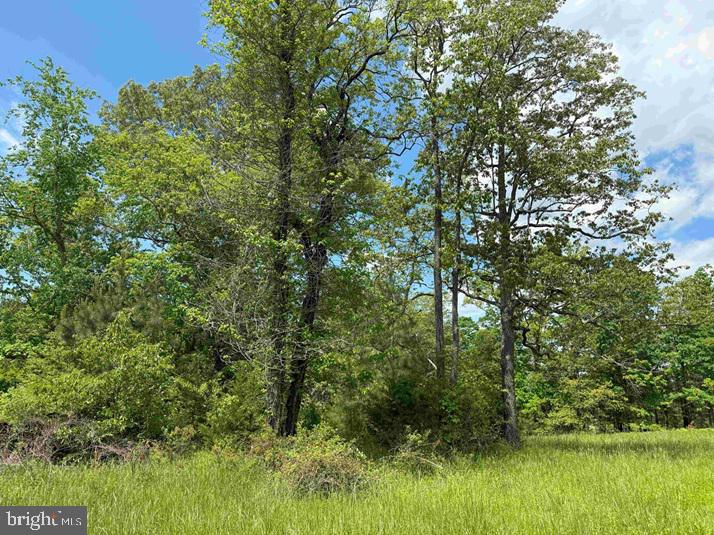 Shilo Church Road (state Rt. 647) Property Photo 10