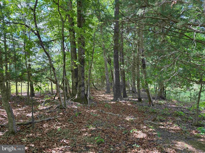 Shilo Church Road (state Rt. 647) Property Photo 11