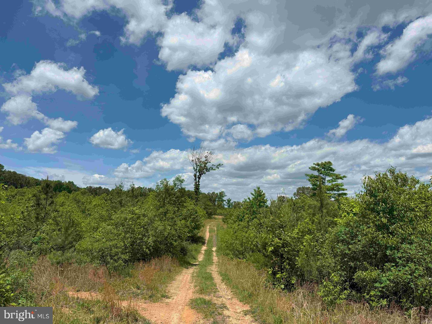 Shilo Church Road (state Rt. 647) Property Photo 12