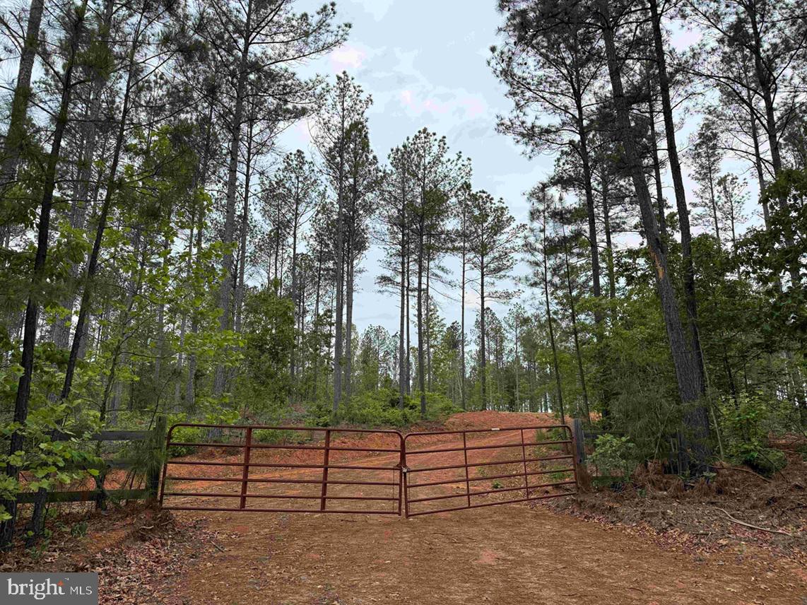 West River Road (tract: Jr Sadie Flanagan-2) Property Photo 1