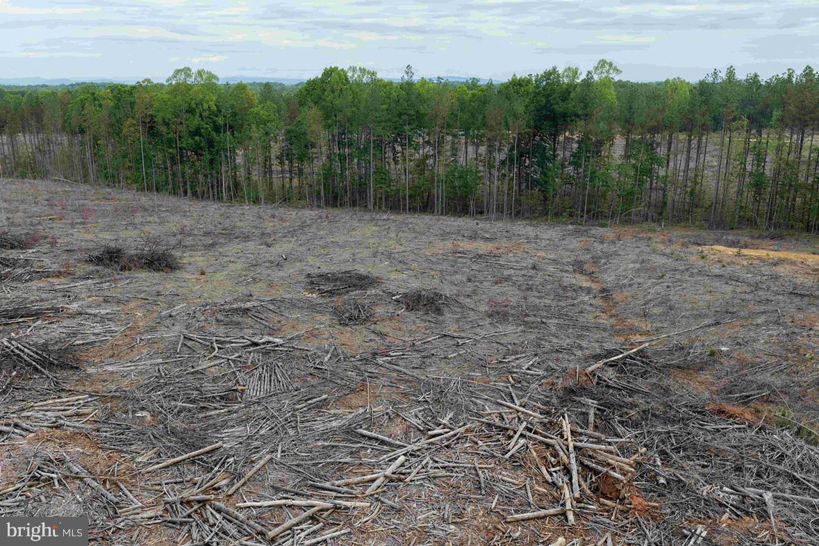 West River Road (tract: Jr Sadie Flanagan-2) Property Photo 6