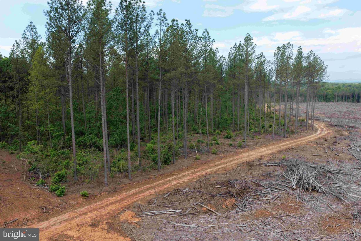 West River Road (tract: Jr Sadie Flanagan-2) Property Photo 7