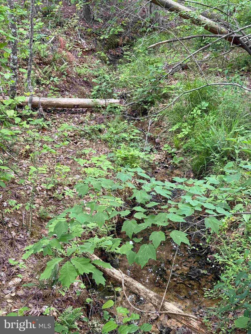 West River Road (tract: Jr Sadie Flanagan-2) Property Photo 12
