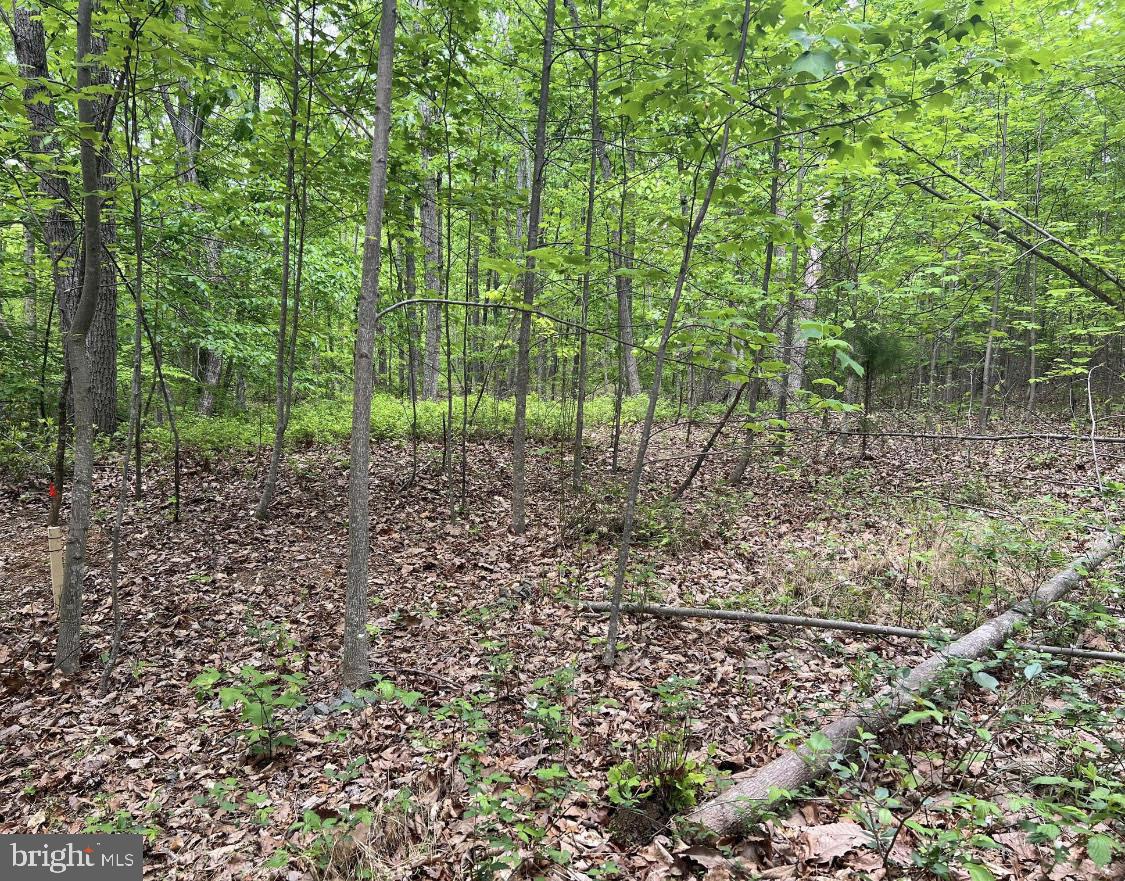 7828-64-2071 Property Photo 8