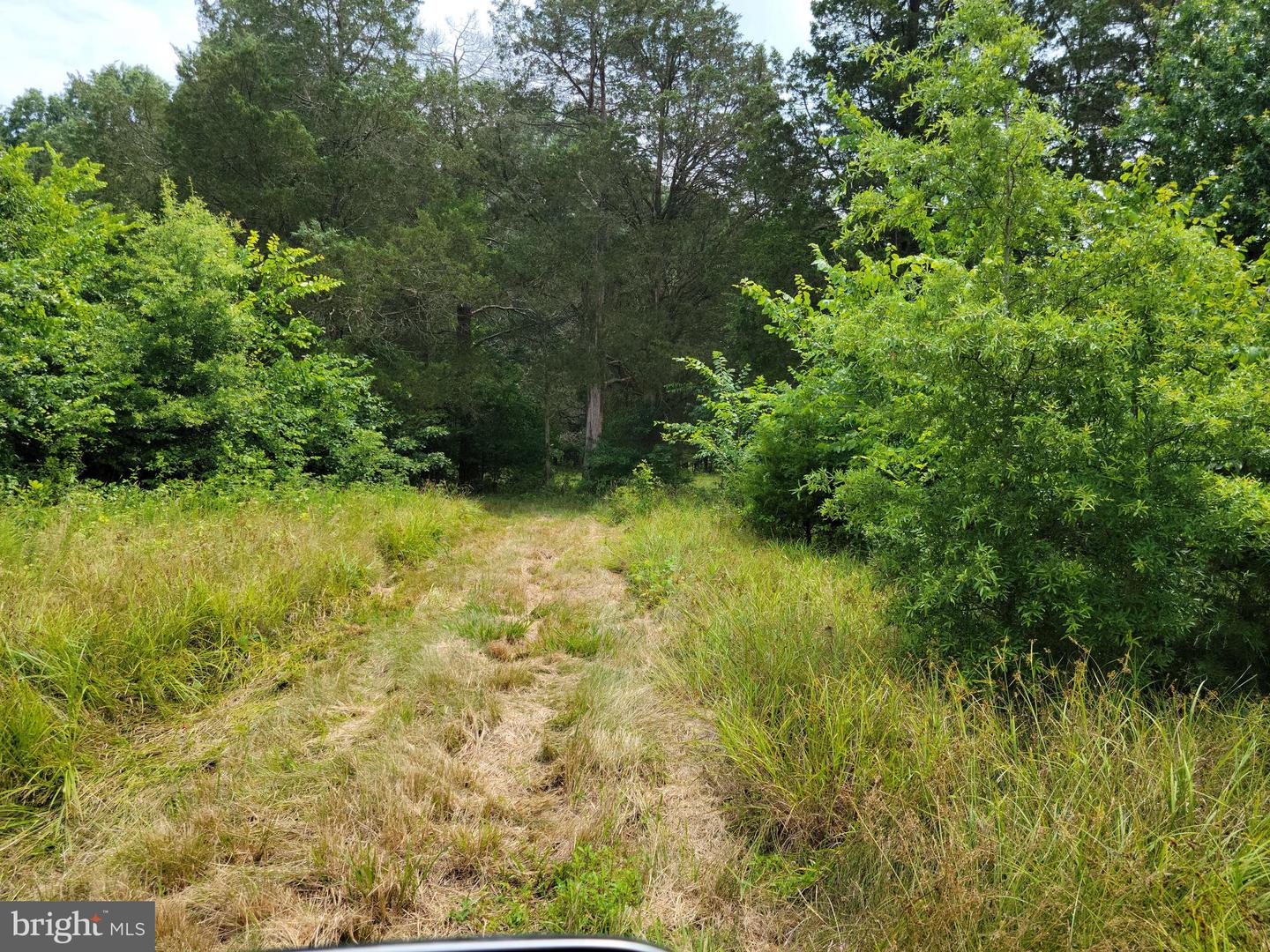 Unassigned Property Photo 2