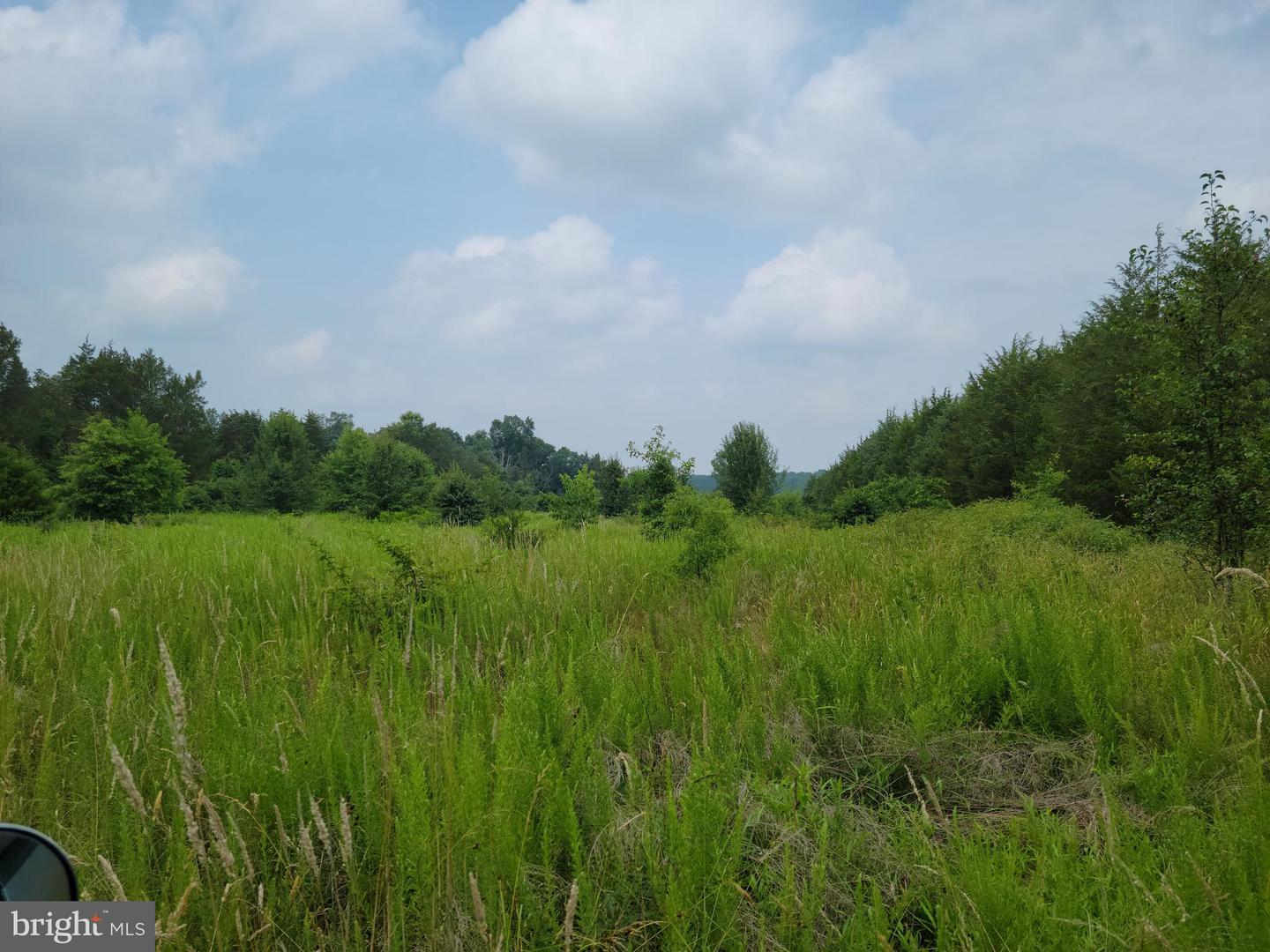 Unassigned Property Photo 3