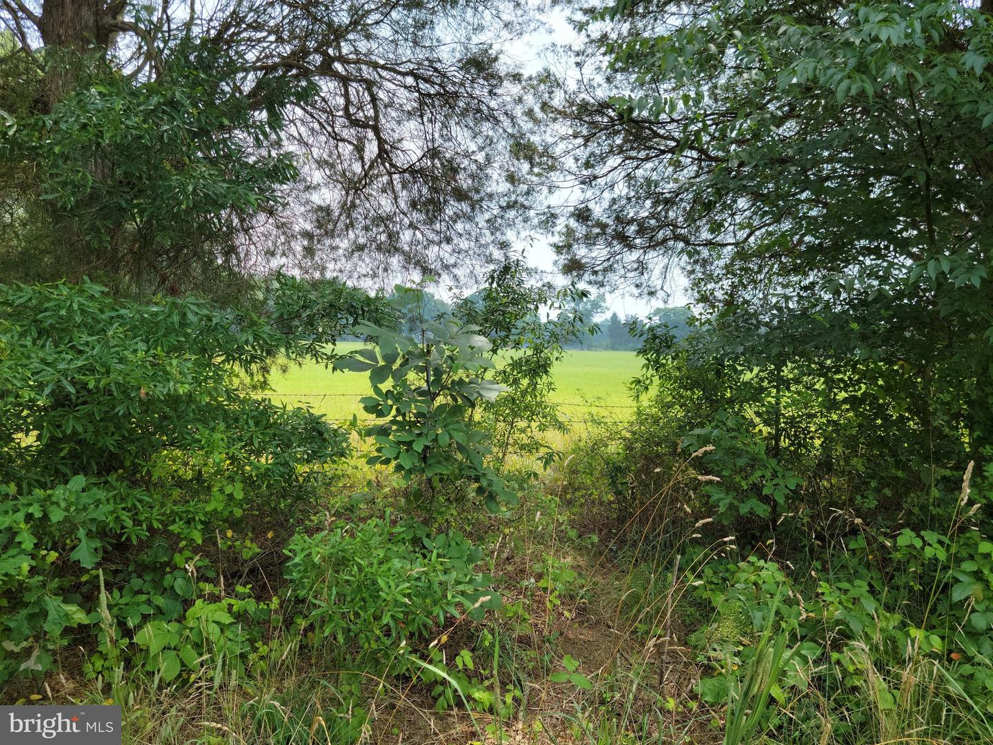 Unassigned Property Photo 4
