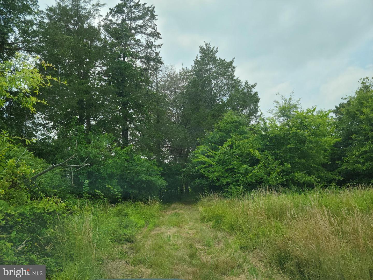 Unassigned Property Photo 5