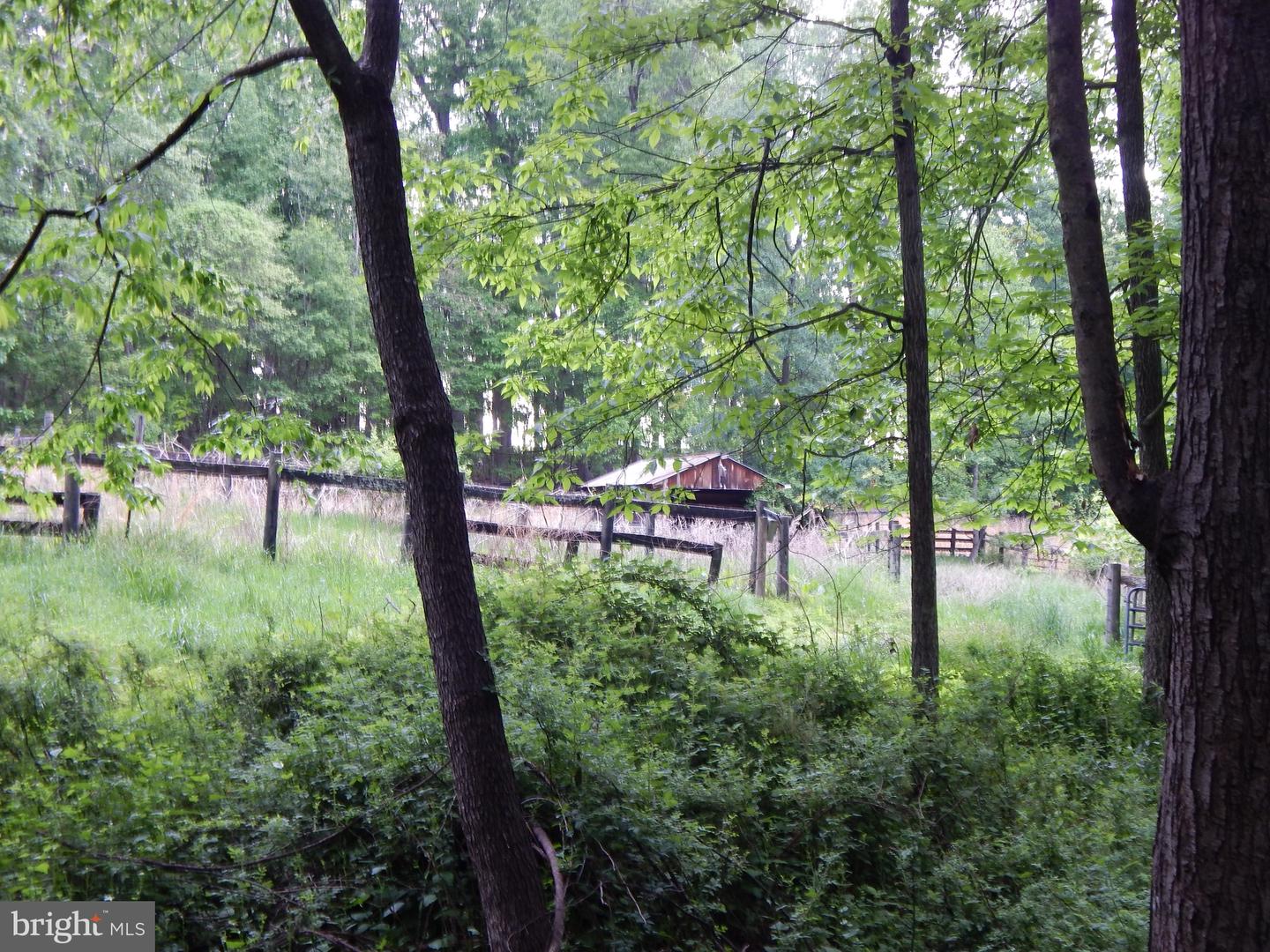 7633 Riverside Farm Rd Property Photo 33