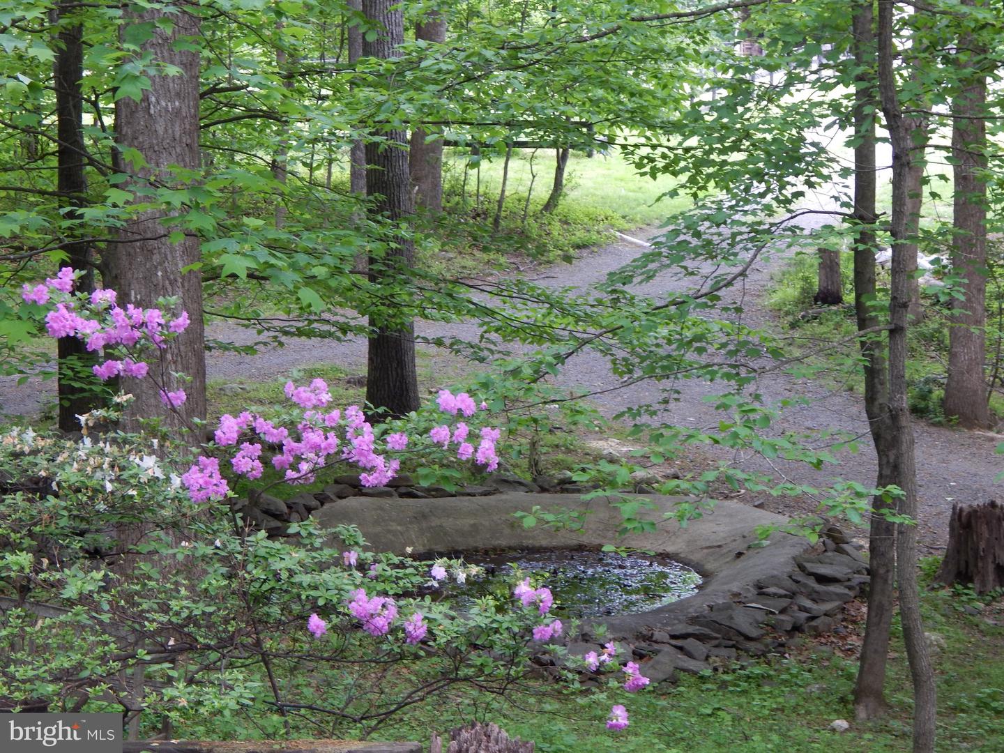 7633 Riverside Farm Rd Property Photo 38