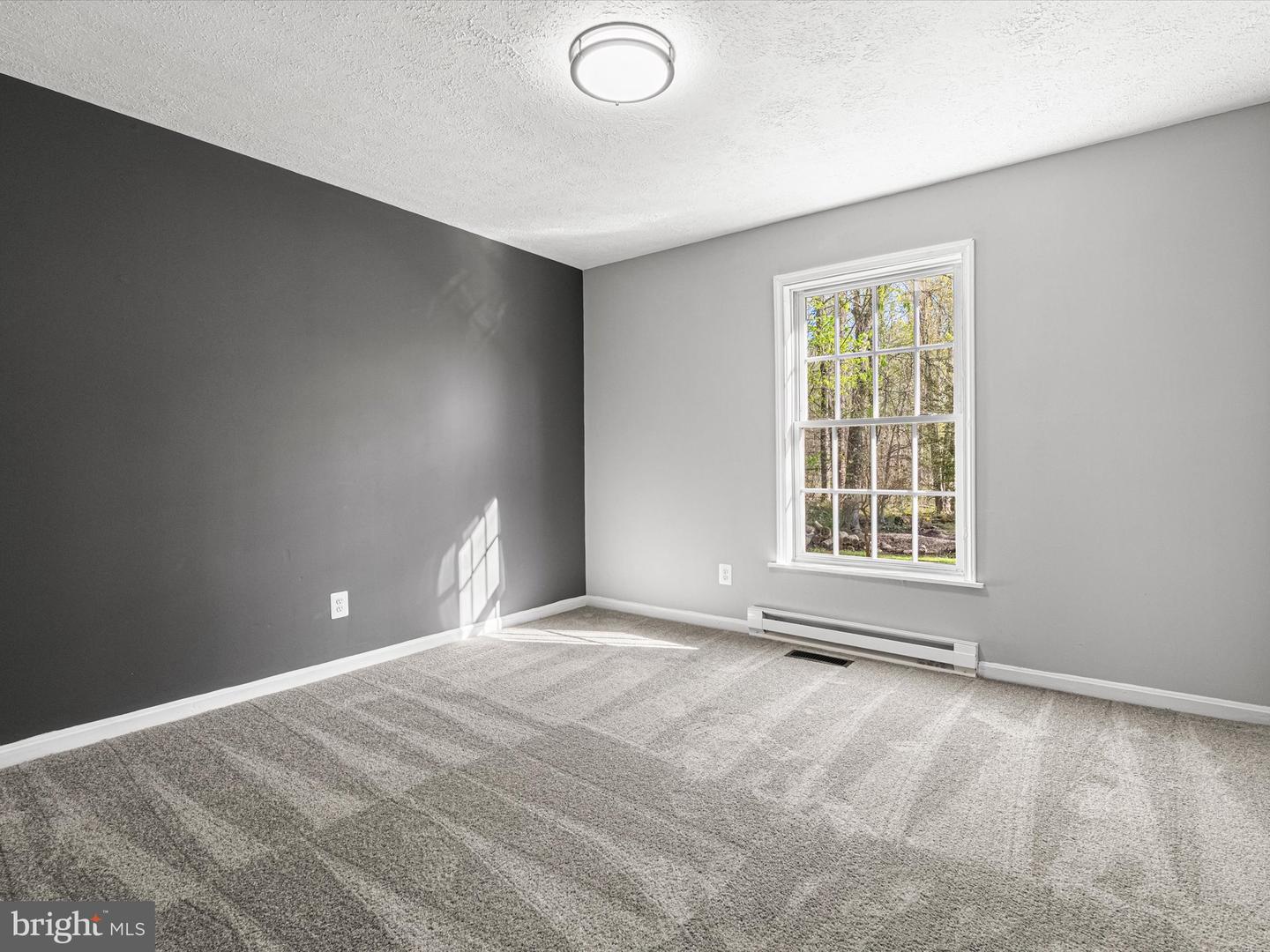 8386 Pinn Turn Property Photo 13