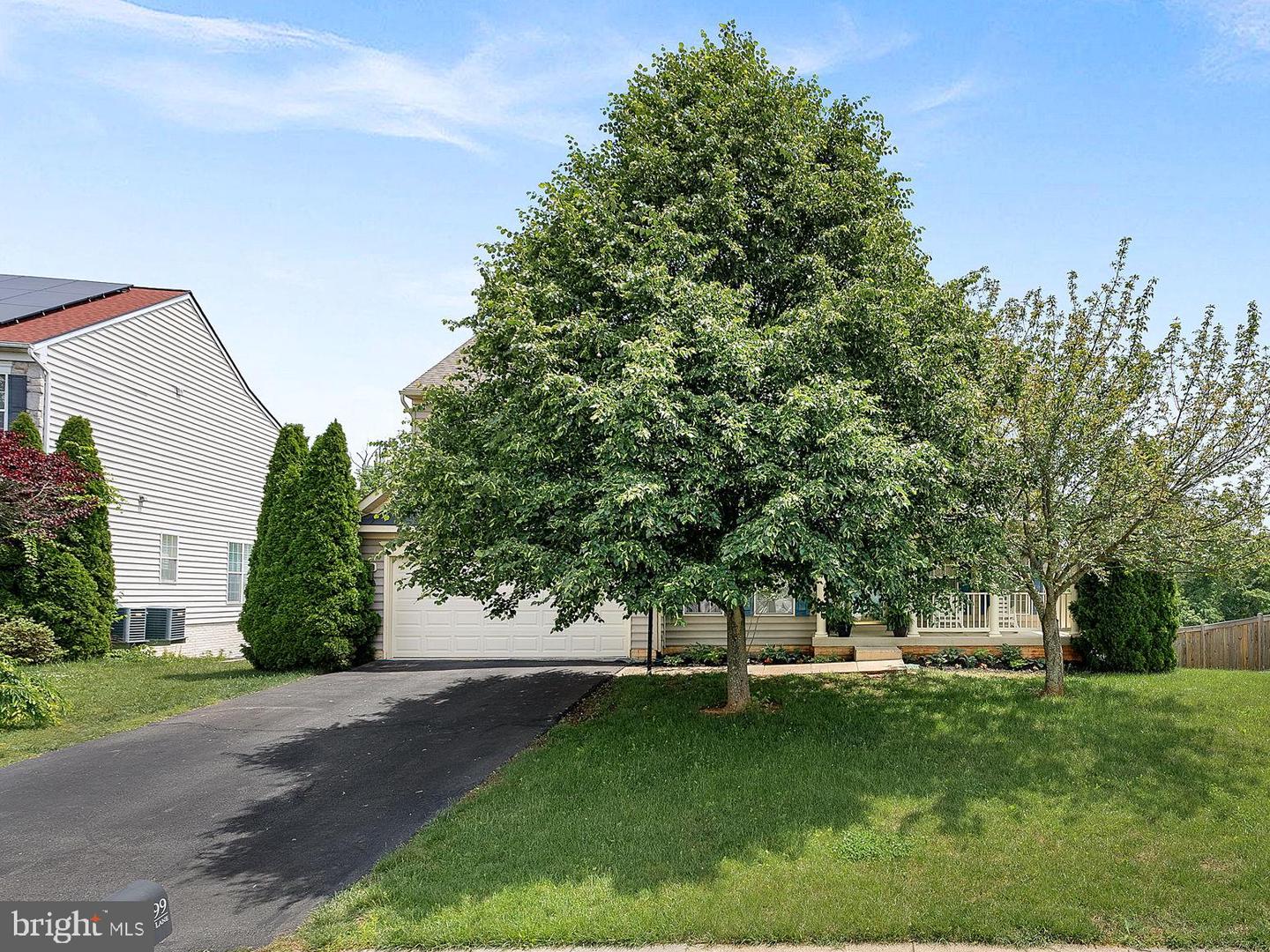 10799 Reynard Fox Ln Property Photo 6