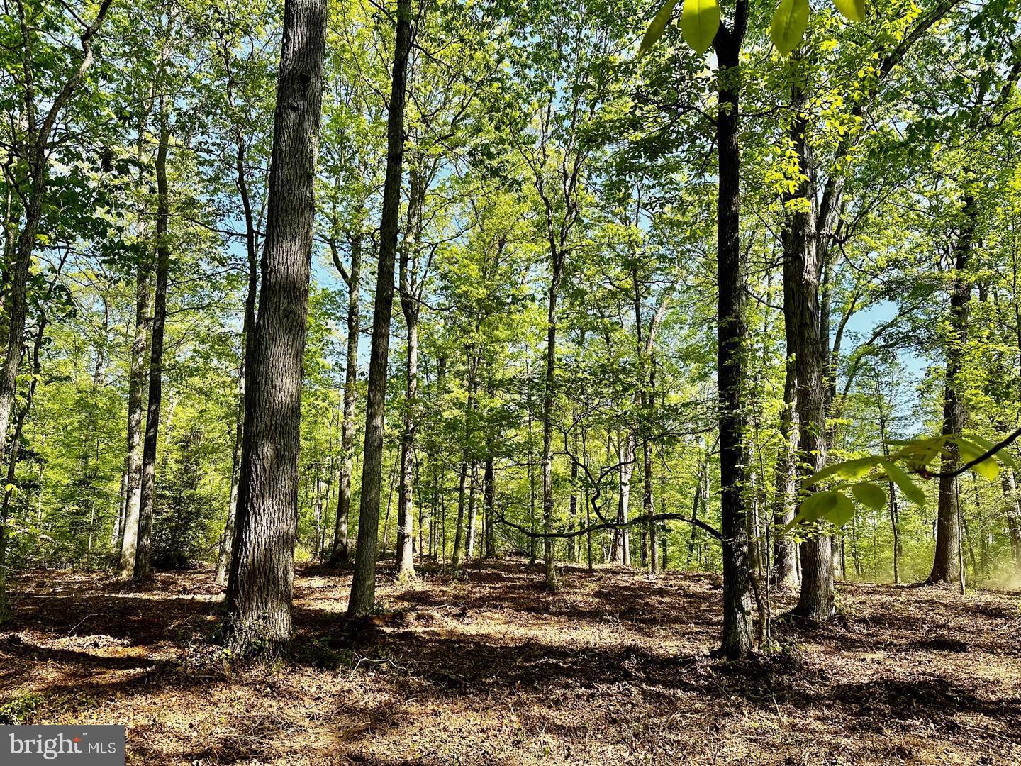 00 Lot 3 Tapps Ford Property Photo 1