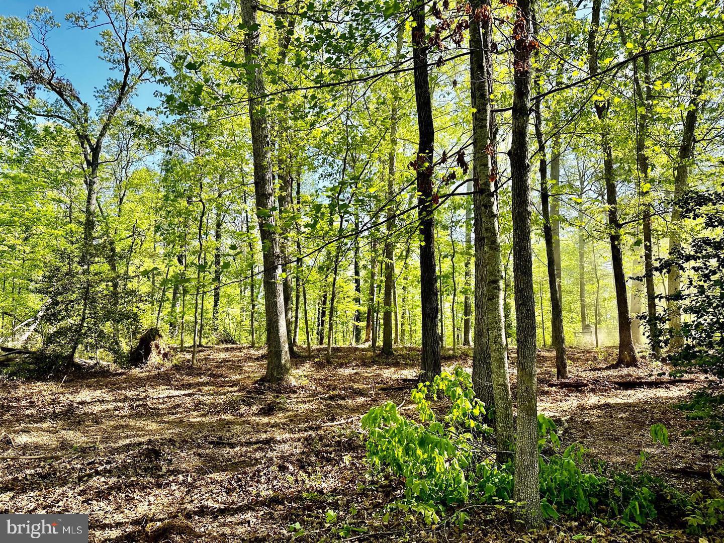 Ooo Lot 4 Tapps Ford Rd Property Photo 1