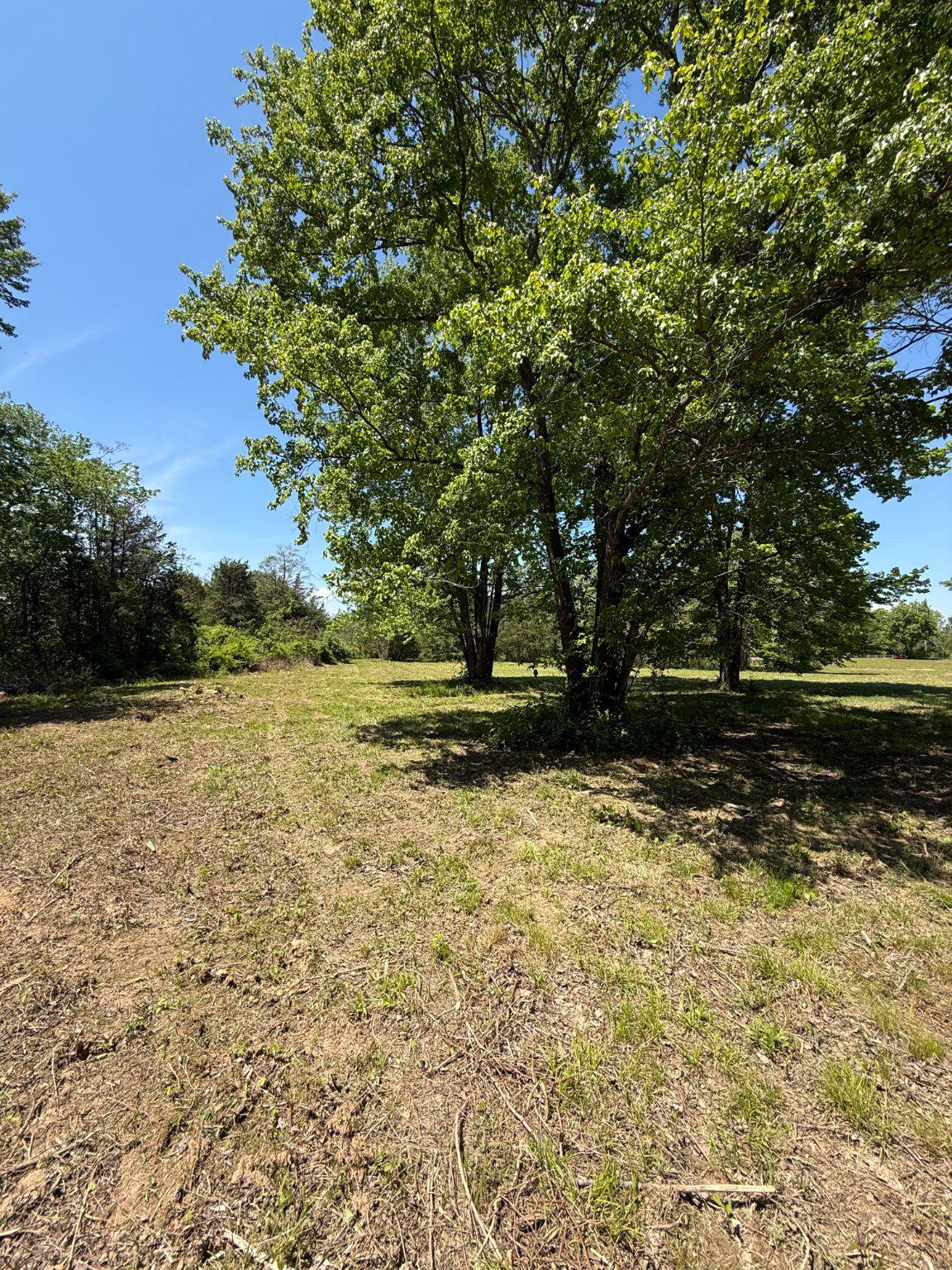 Catlett Rd Property Photo 10