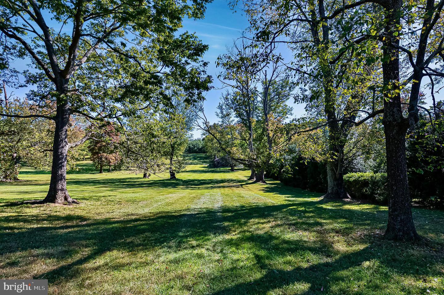 1610 Delaplane Grade Rd Property Photo 102