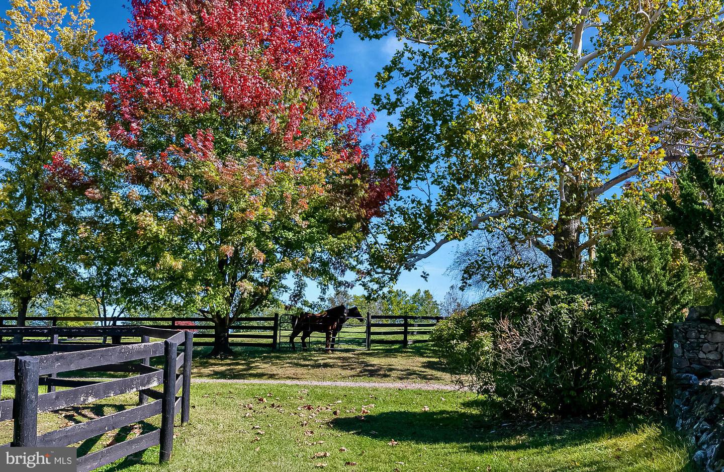 1610 Delaplane Grade Rd Property Photo 21