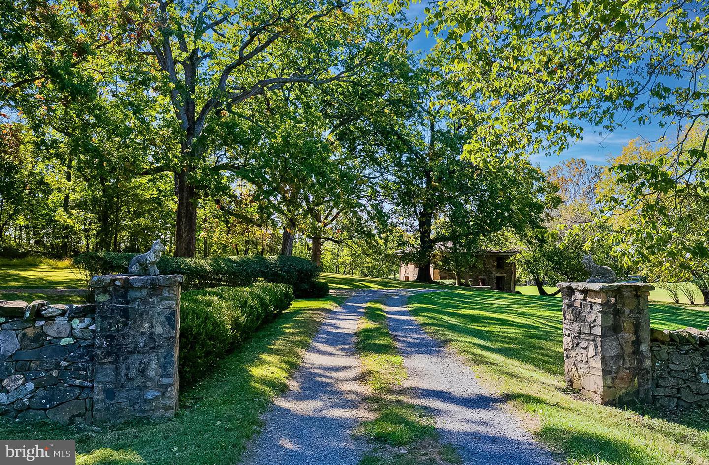 1610 Delaplane Grade Rd Property Photo 24