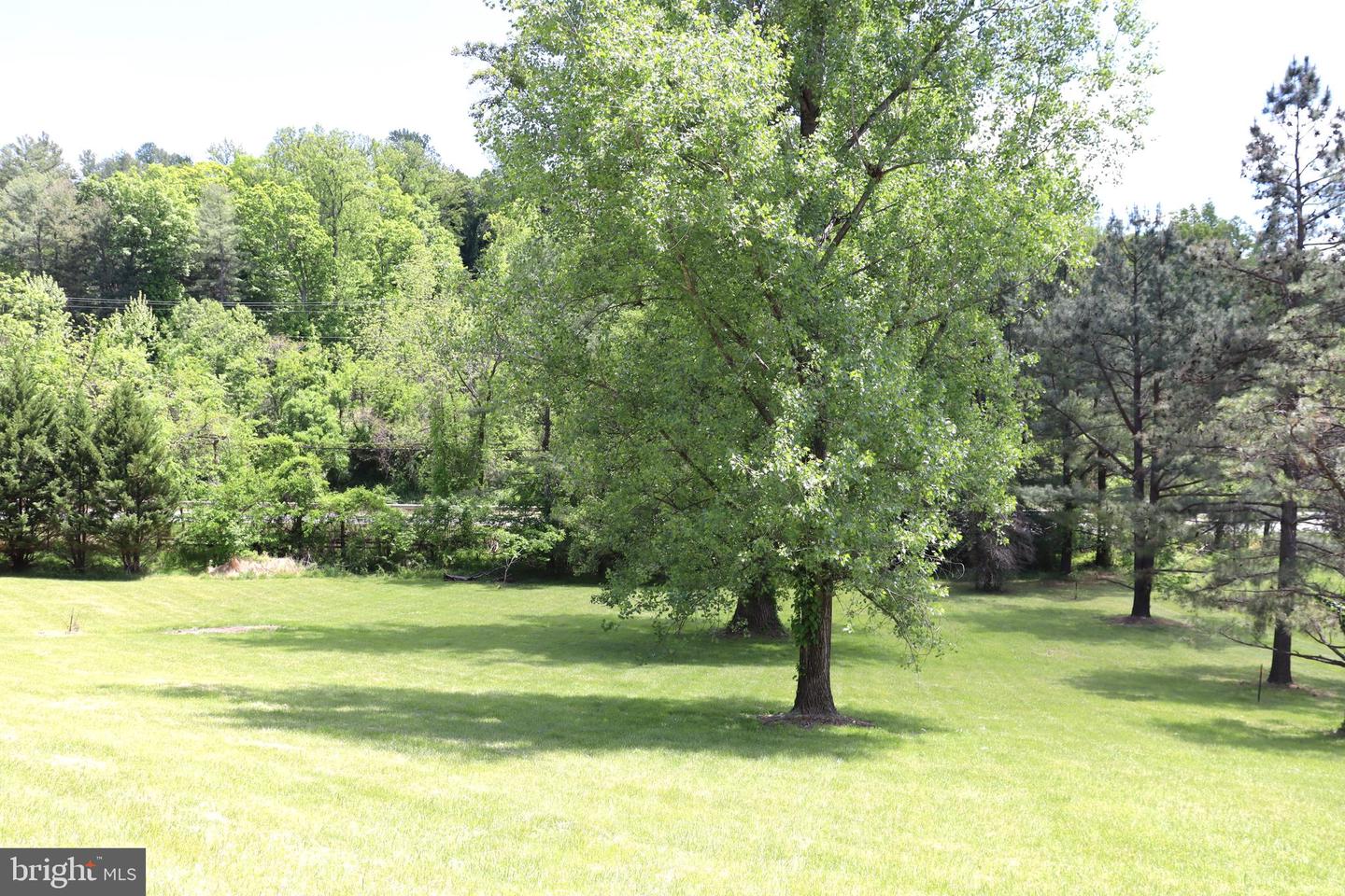6885 Walnut Heights Dr Property Photo 66