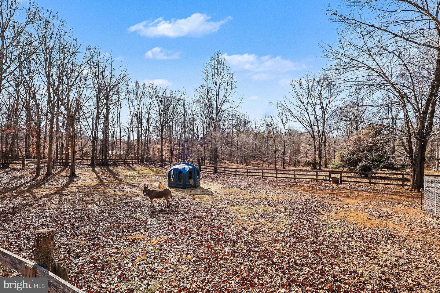 8318 Diamond Hill Rd Property Photo 74
