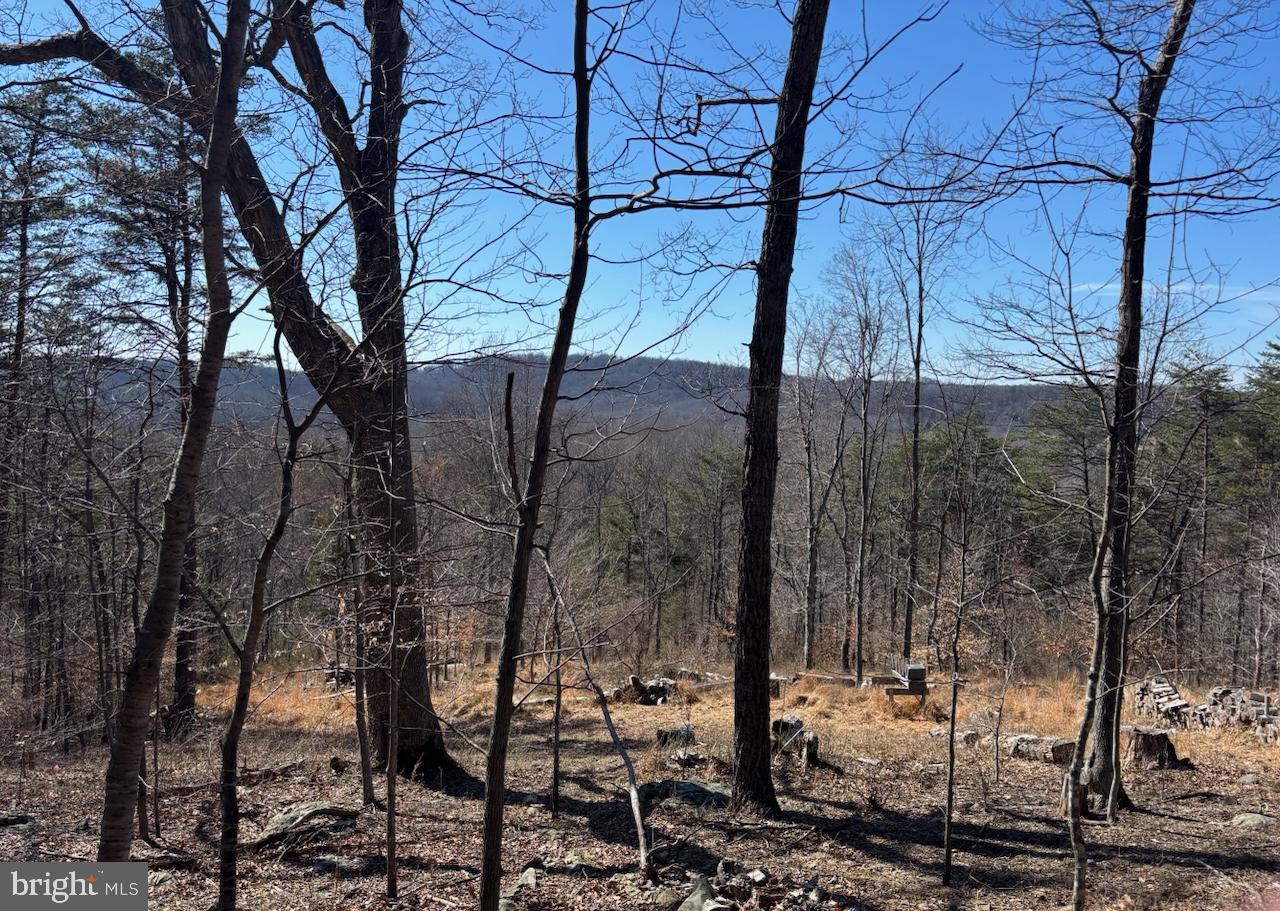 Carters Run Property Photo 1