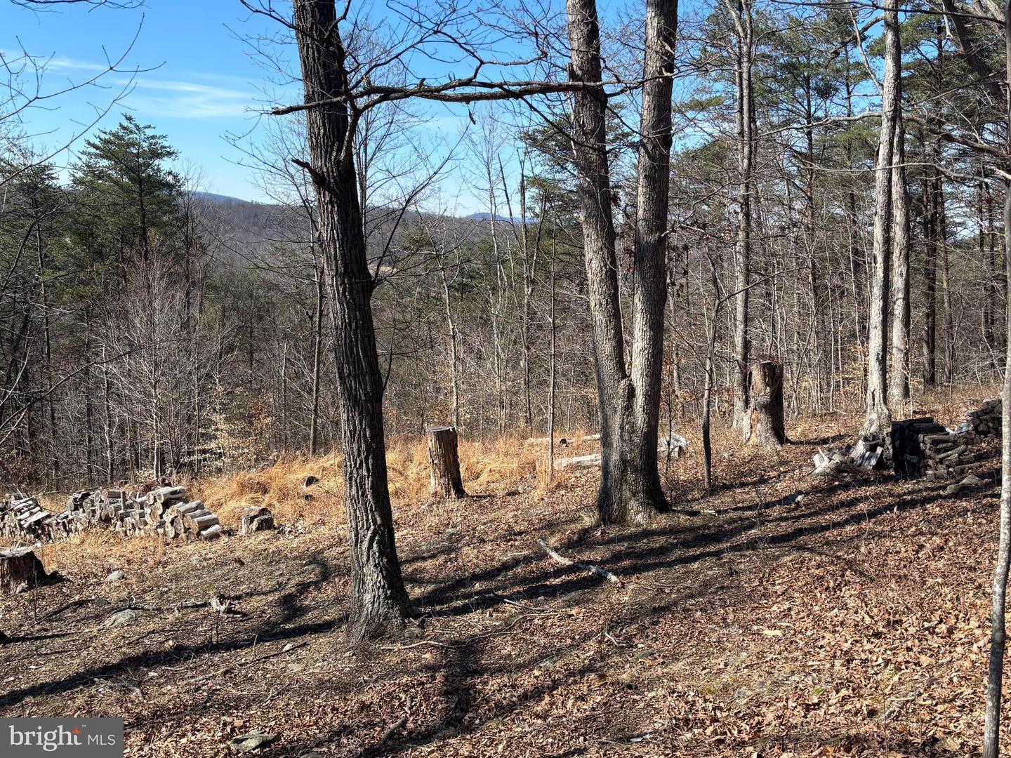 Carters Run Property Photo 3