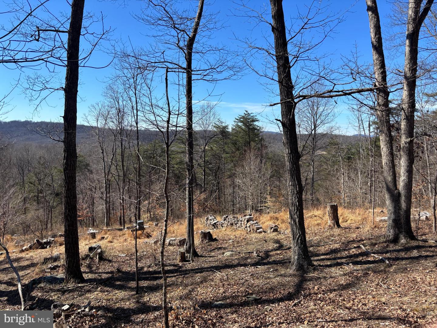 Carters Run Property Photo 4