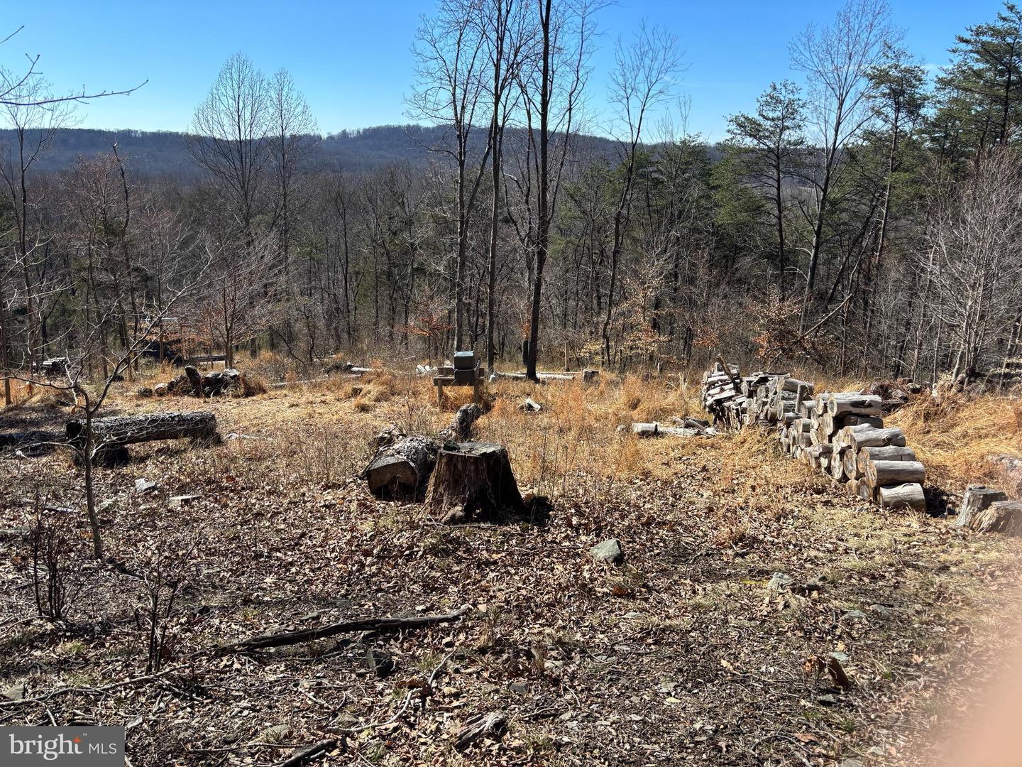 Carters Run Property Photo 5