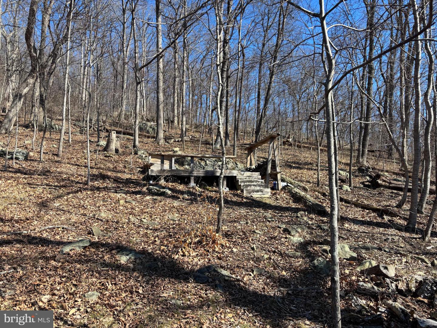 Carters Run Property Photo 6