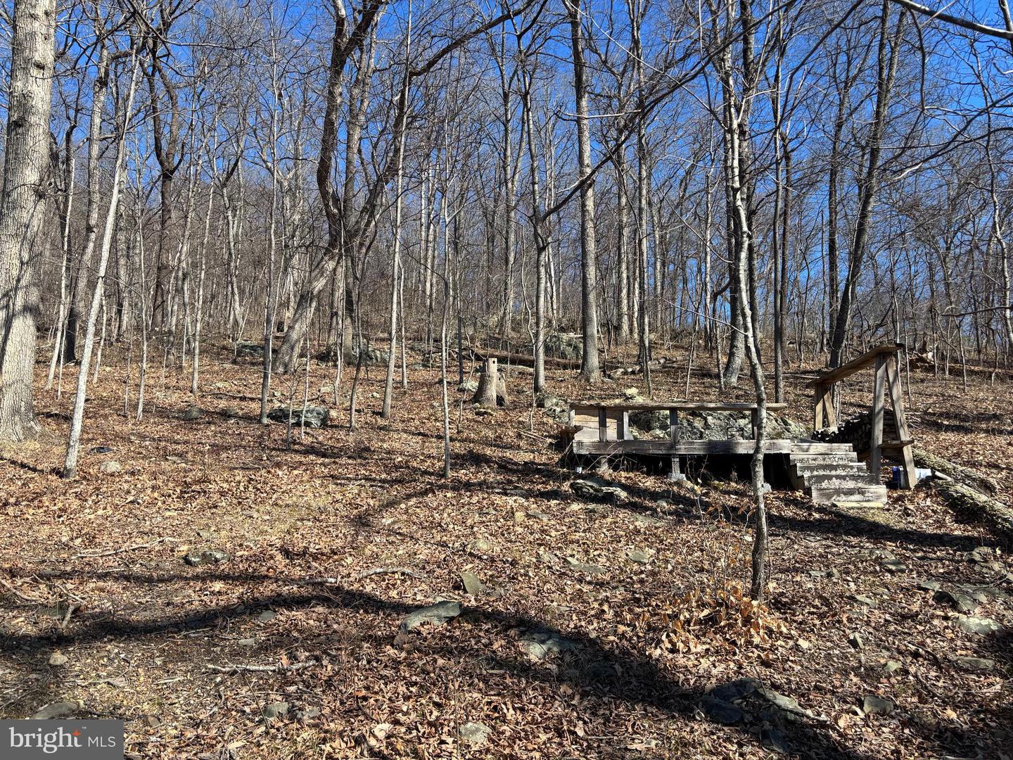 Carters Run Property Photo 7