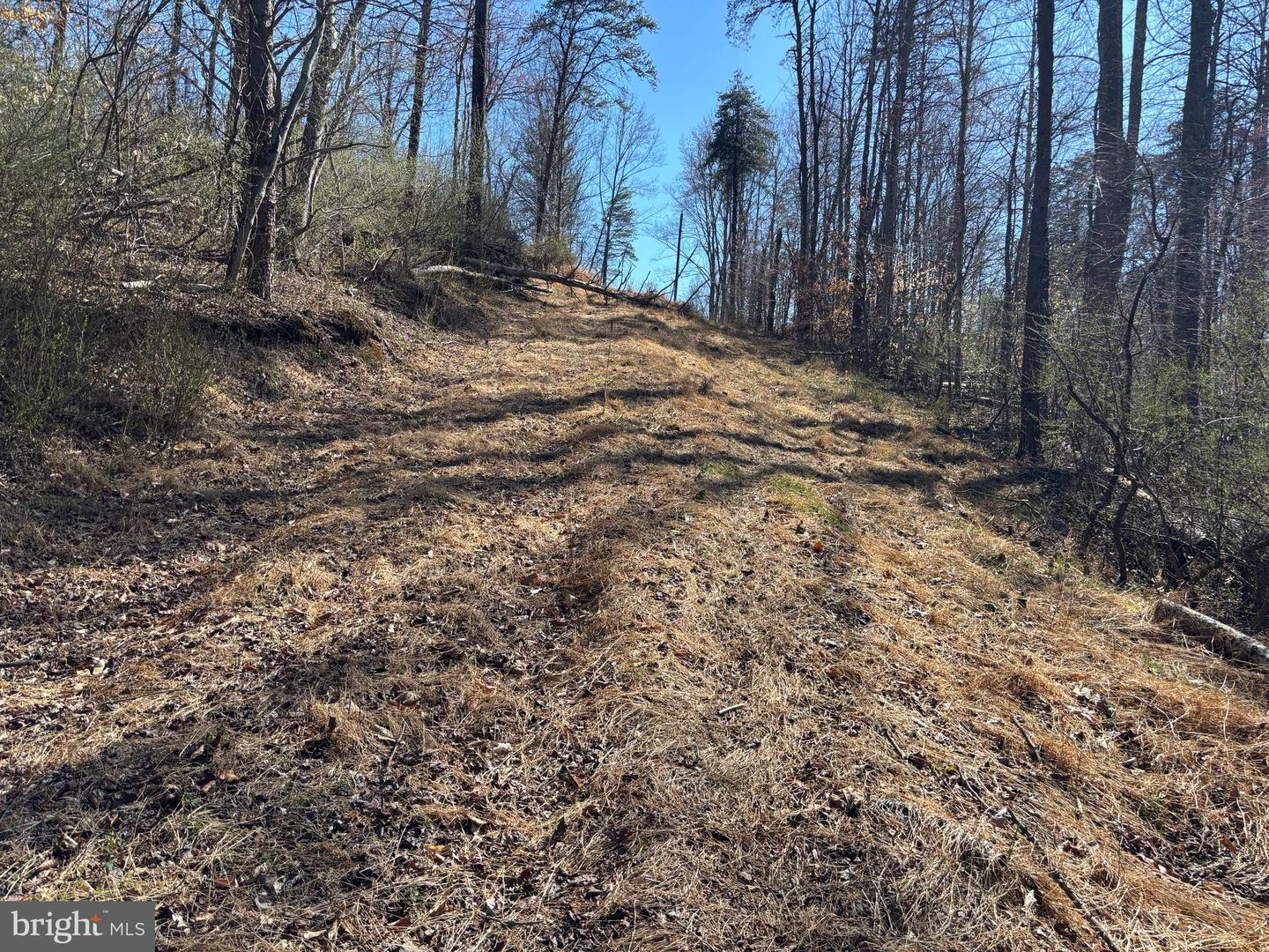 Carters Run Property Photo 10