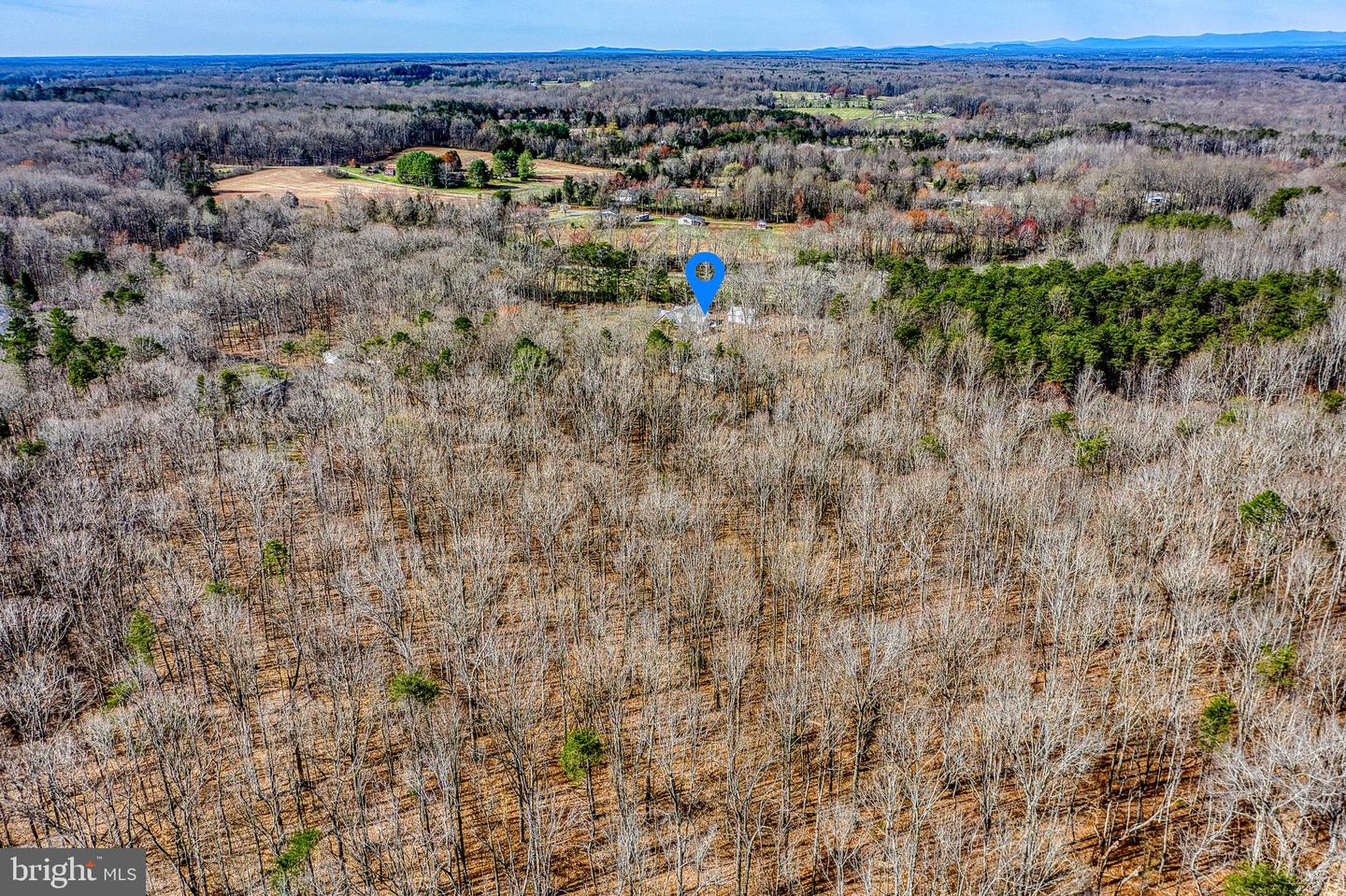3220 Courtney School Rd Property Photo 95