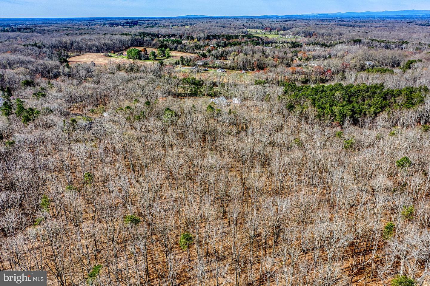 3220 Courtney School Rd Property Photo 96