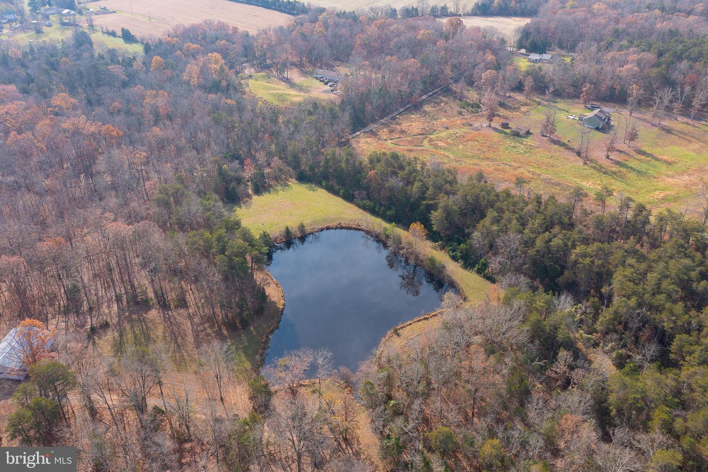 14 Acres Shenandoah Path Property Photo 1
