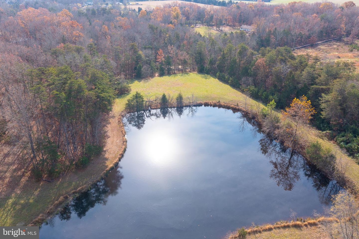 14 Acres Shenandoah Path Property Photo 7