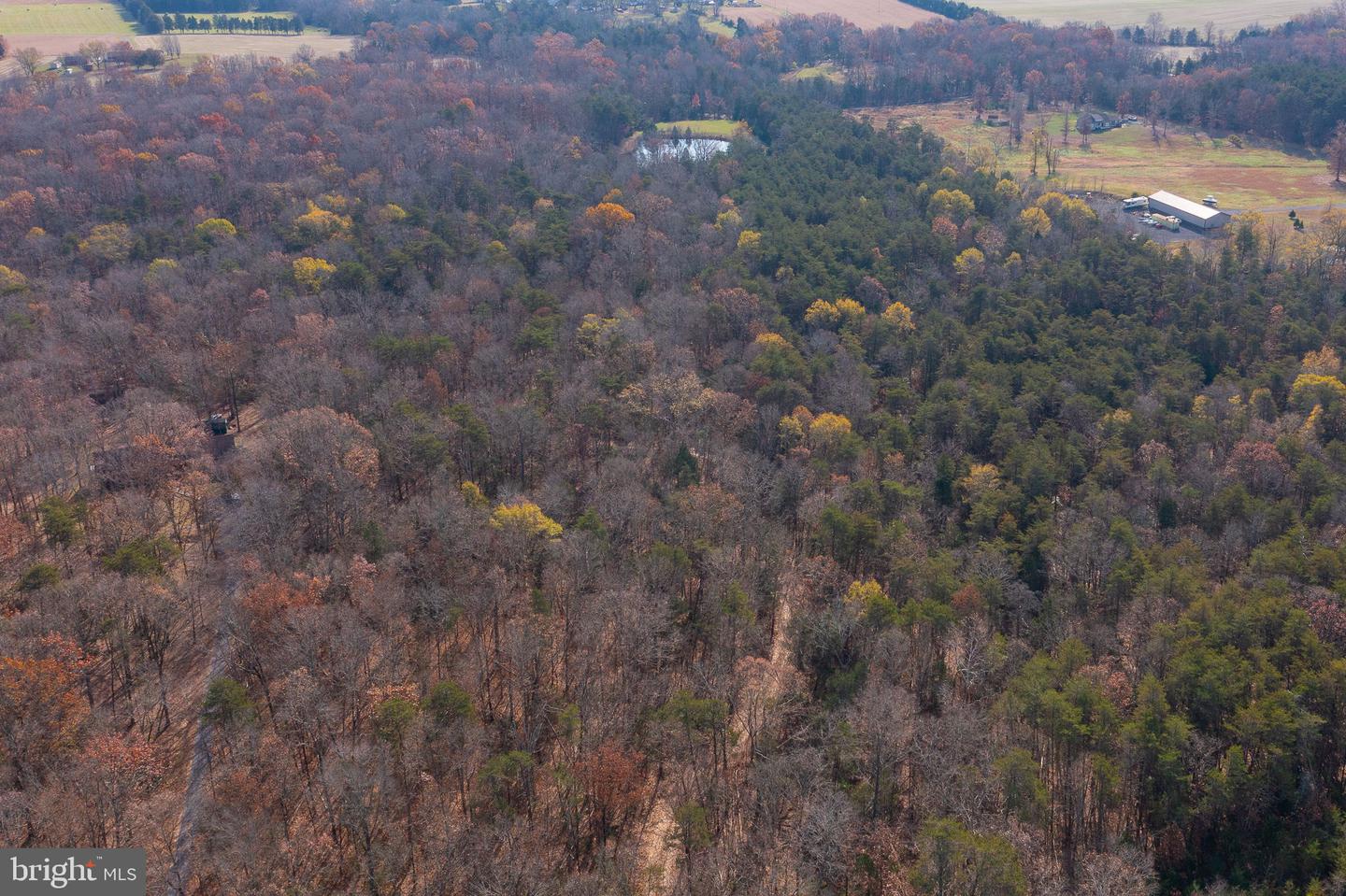 14 Acres Shenandoah Path Property Photo 9