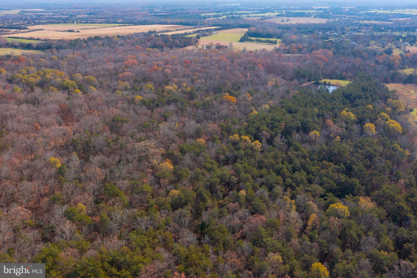 14 Acres Shenandoah Path Property Photo 10