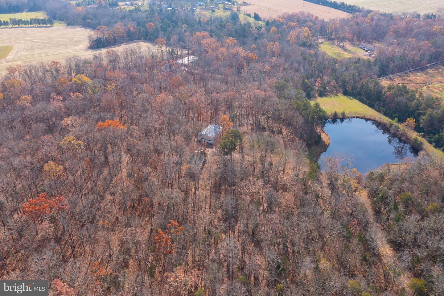 14 Acres Shenandoah Path Property Photo 16