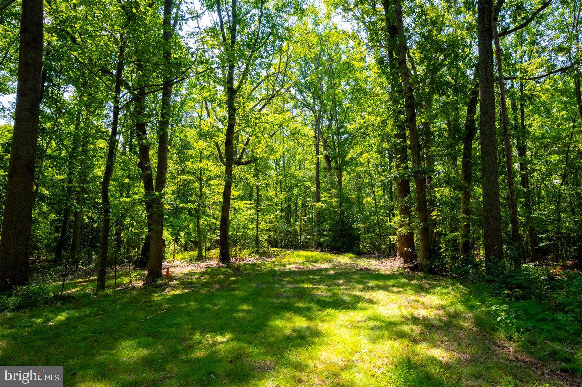 12350 Roselawn Ln Property Photo 33