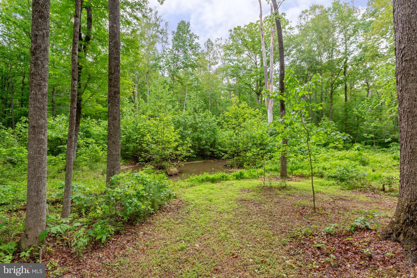 4281 Bear Bug Ln Property Photo 47
