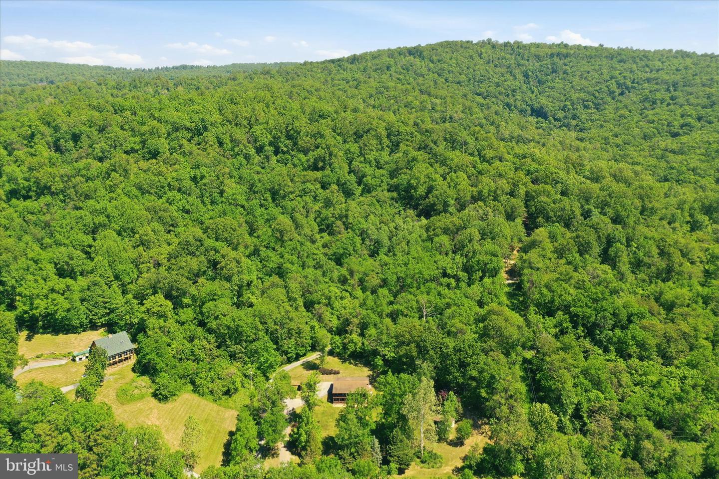 13010 Belle Meade Ln Property Photo 45