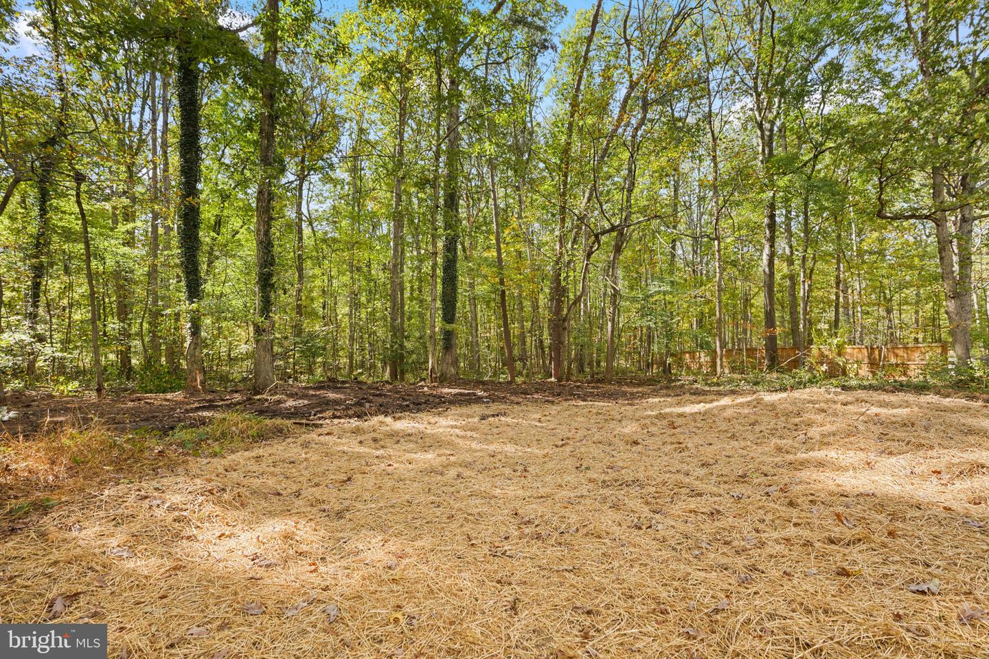 9124 Meetze Rd Property Photo 36
