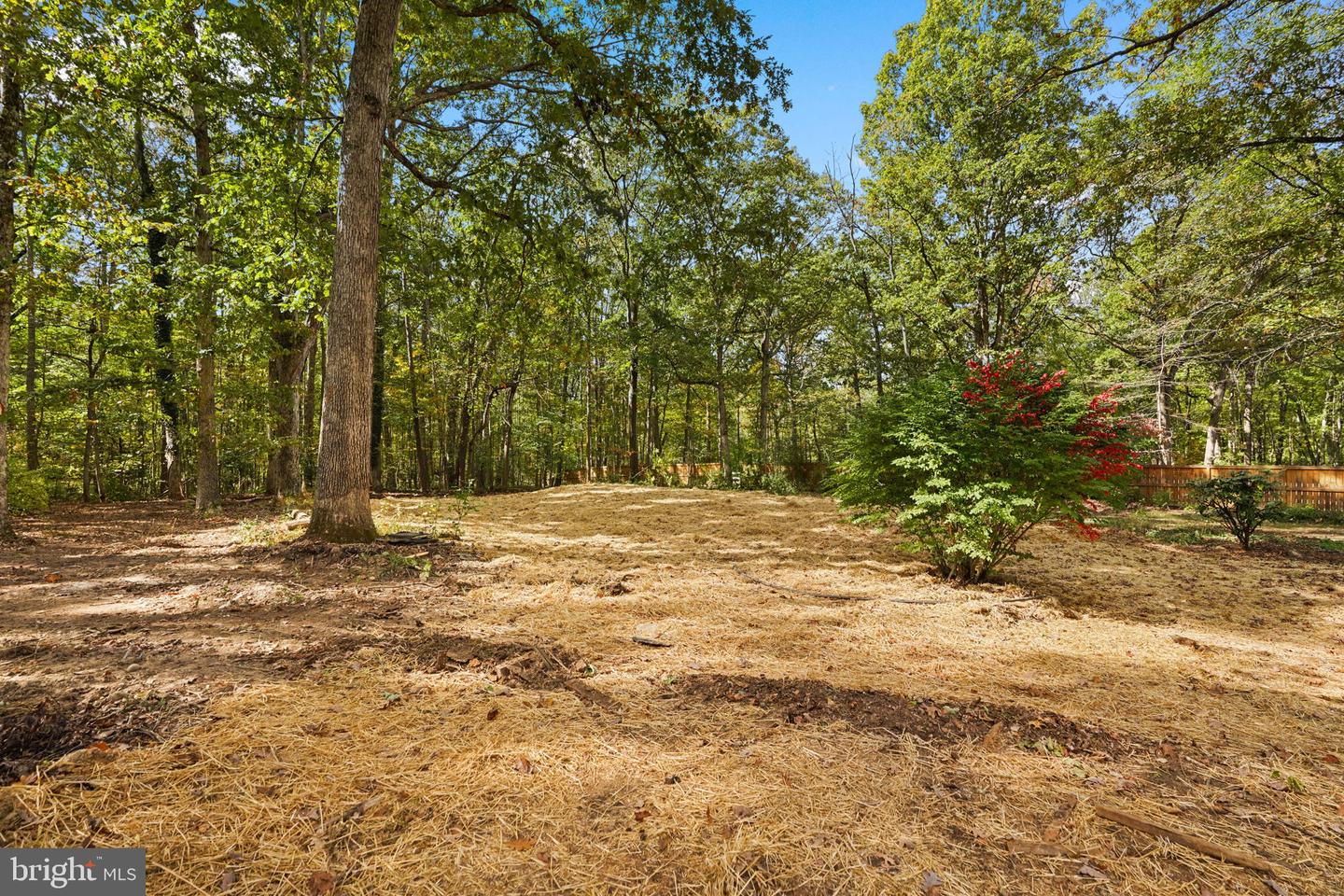 9124 Meetze Rd Property Photo 37